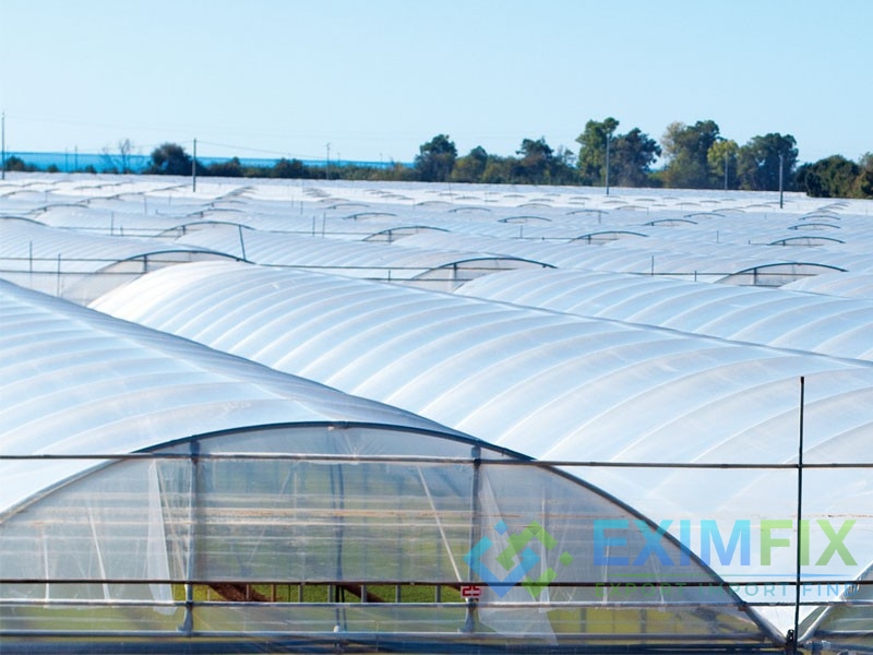 Greenhouse Solutions