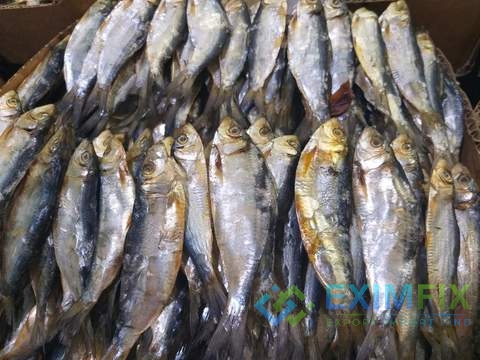 Fish Product