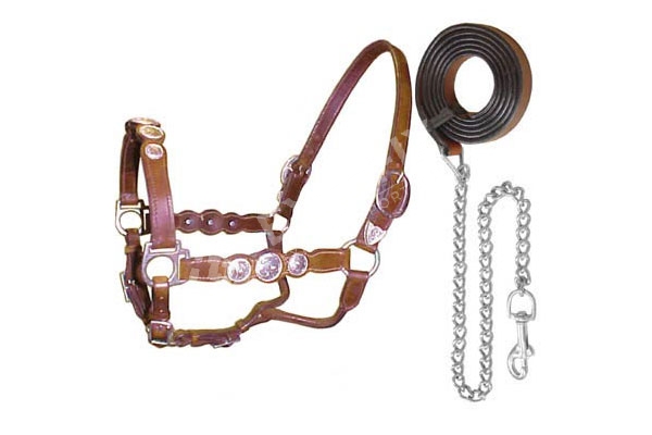 EQUESTRIAN, WESTERN HALTERS