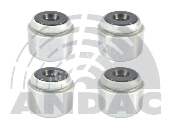 Caliper Piston Set