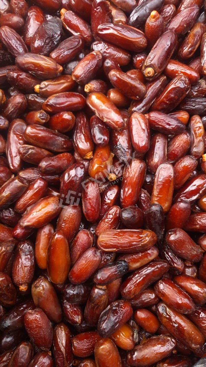 Tunisian Dates