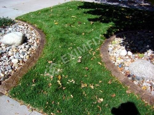 Salt Lake City Sod